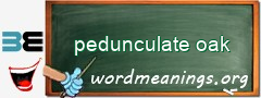 WordMeaning blackboard for pedunculate oak